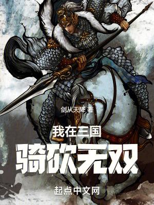 我在三国骑砍无双百度