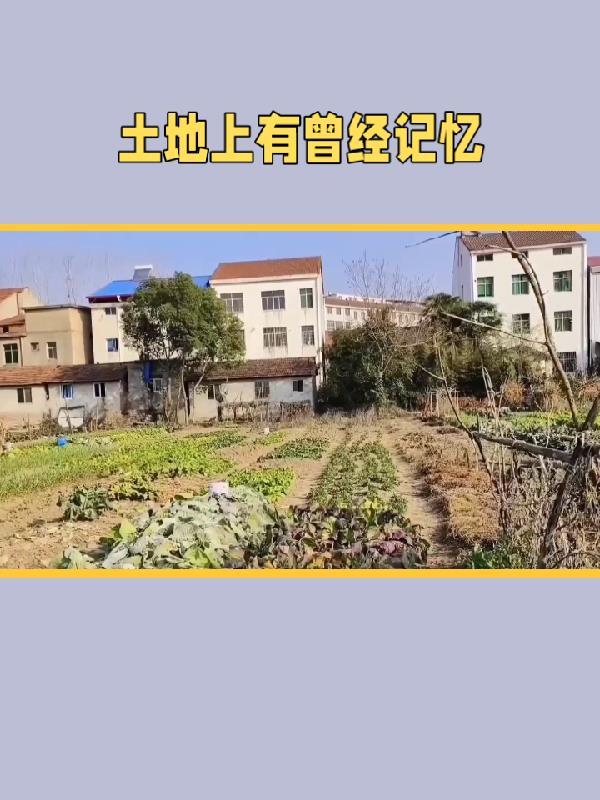 有土地就会有足迹 有土地就会有足迹