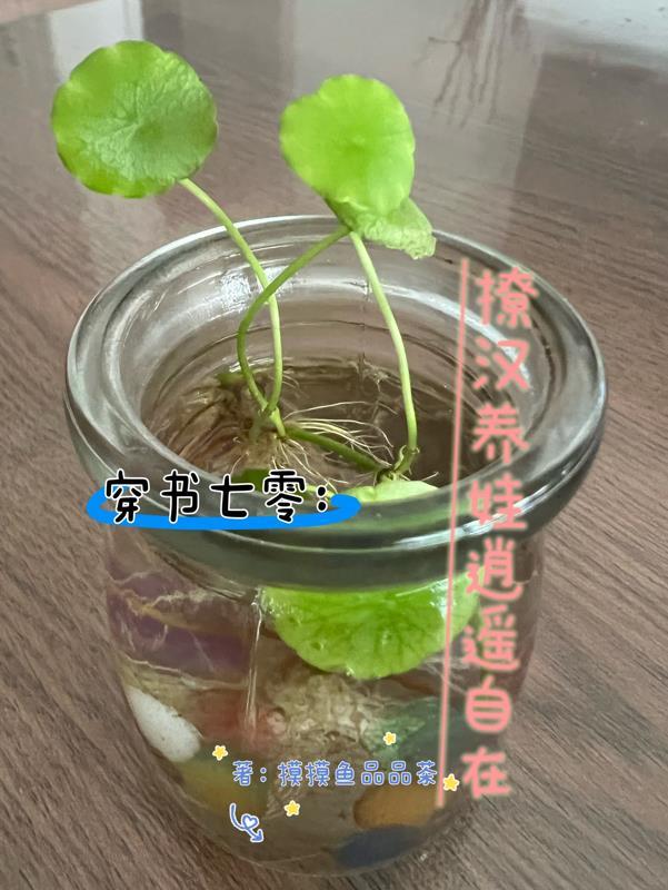 穿越七零撩夫忙 穿越七零撩夫忙