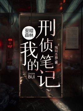 至暗森林我的刑侦笔记 至暗森林我的刑侦笔记