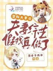 塑料夫妻情免费阅读 塑料夫妻情免费阅读