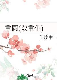 重圆双重生柳曦珠卫陵免费 重圆双重生柳曦珠卫陵免费