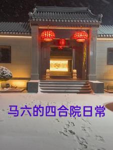 什么是马六车 什么是马六车