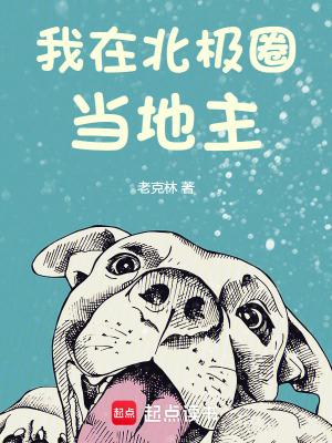 在北极圈内的城市 在北极圈内的城市