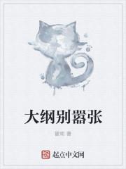 大纲 大纲