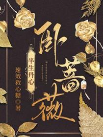 半生丹心卧蔷薇 速效救心糖 半生丹心卧蔷薇 速效救心糖