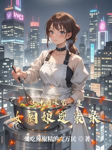 炉灶女神 炉灶女神