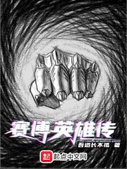赛博英雄传TXT书包网 赛博英雄传TXT书包网