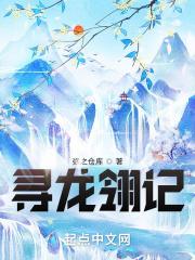 寻龙 寻龙