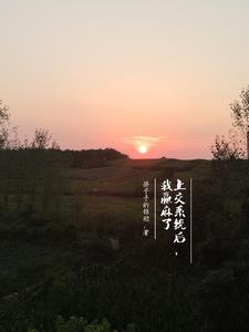 我被系统坑了以后 我被系统坑了以后