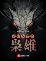 回到明末做枭雄TXT 回到明末做枭雄TXT
