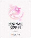 废柴小姐求指教 废柴小姐求指教