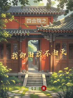 四合院为改命运 四合院为改命运
