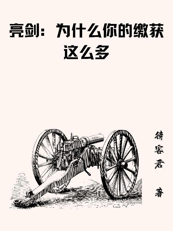 亮剑为什么你的缴获这么多无弹窗 亮剑为什么你的缴获这么多无弹窗