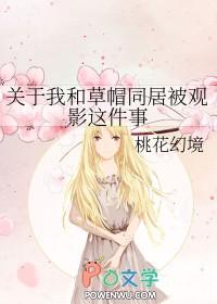 海贼之我加入草帽 海贼之我加入草帽