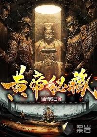 黄帝秘藏王国光