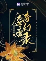盛唐奇案礼包 盛唐奇案礼包