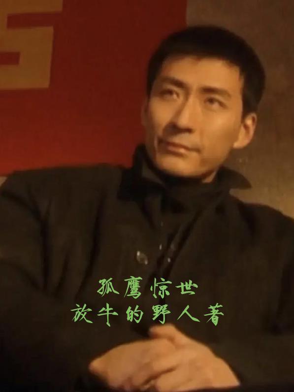 孤鹰 txt 孤鹰 txt
