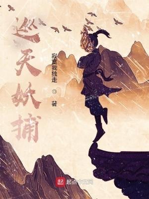 巡天妖捕境界划分 巡天妖捕境界划分