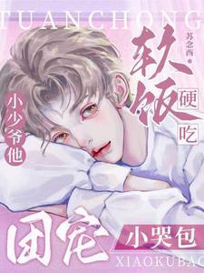 团宠小少年 团宠小少年