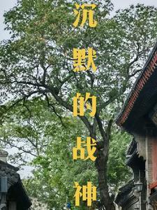 沉默战神 背景设定 沉默战神 背景设定