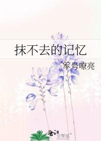 抹不去的回忆开头优美的句子 抹不去的回忆开头优美的句子