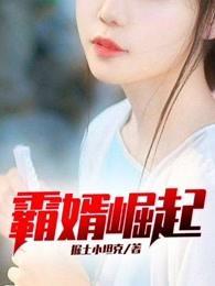 霸婿崛起人物介绍 霸婿崛起人物介绍