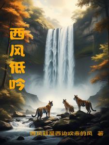 西风mv 西风mv