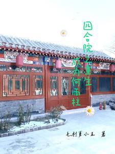 重生之四合院之我是何雨住 重生之四合院之我是何雨住