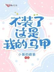 这马甲我不披了 这马甲我不披了