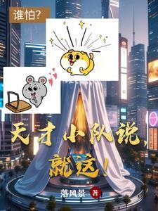 天才团队 天才团队