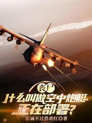 僵尸空中炮艇 僵尸空中炮艇