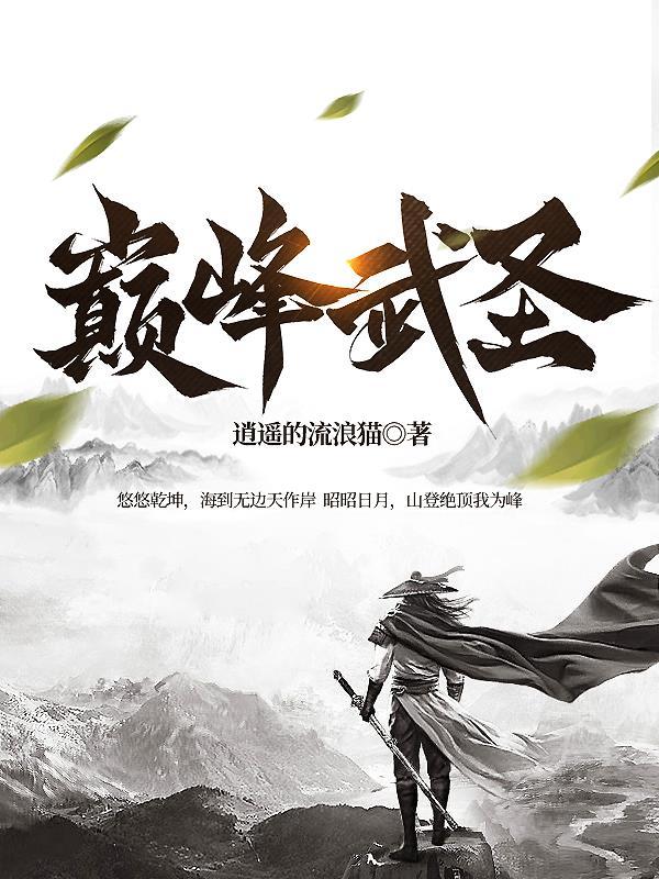 巅峰武圣境界