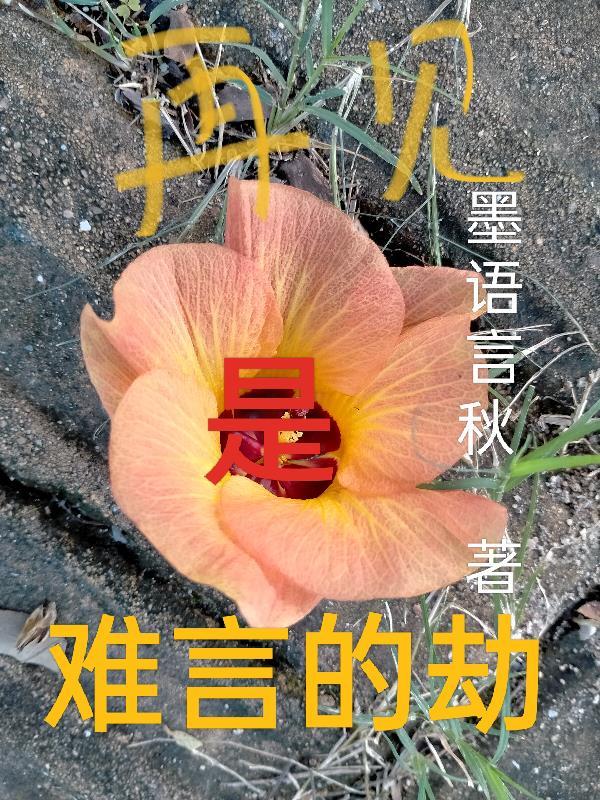 难说再见之感 难说再见之感