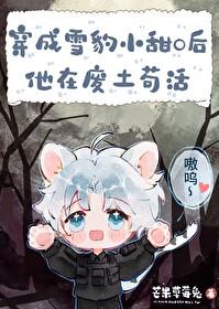 雪豹小队 雪豹小队