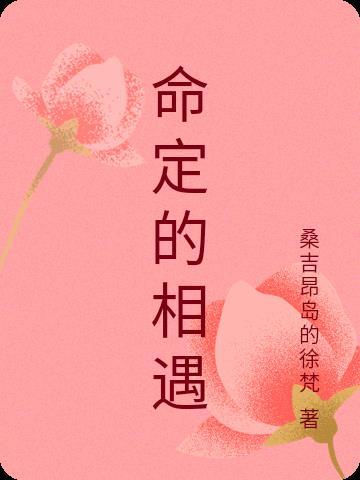 命定的相遇作者李琳佳 林天牧赵寻风 命定的相遇作者李琳佳 林天牧赵寻风