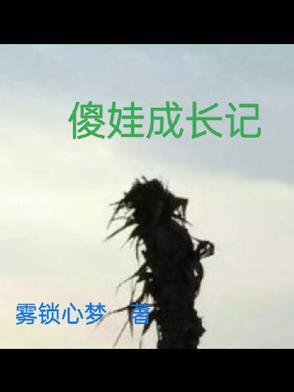 傻子成长记 傻子成长记