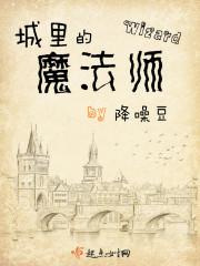 城里的魔法师TXT电子书 城里的魔法师TXT电子书