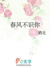 春风不知 春风不知