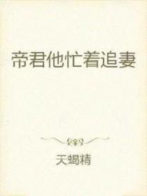 帝君的追妻日常 帝君的追妻日常