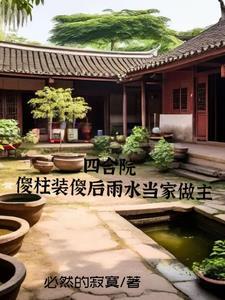 四合院雨水当家傻柱赢麻了 四合院雨水当家傻柱赢麻了