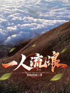 一人流浪在远方完整版 一人流浪在远方完整版