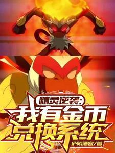 精灵之逆天玩家 精灵之逆天玩家