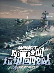 废弃的航空母舰 废弃的航空母舰