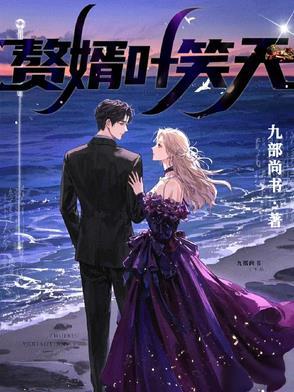 赘婿叶晨 赘婿叶晨