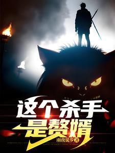 这个杀手是赘婿百度百科 这个杀手是赘婿百度百科