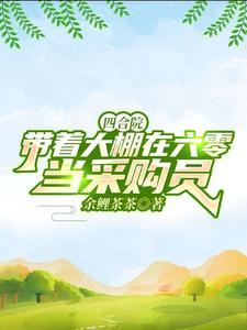 四合院帮一大爷领养孩子 四合院帮一大爷领养孩子