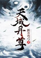苏尘天域丹尊 苏尘天域丹尊