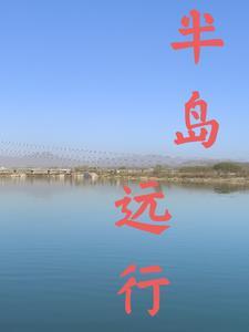 半岛的意思是什么 半岛的意思是什么