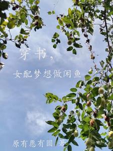 穿书女配只想当咸鱼程以晴 穿书女配只想当咸鱼程以晴